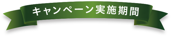 キャンペーン実施期間