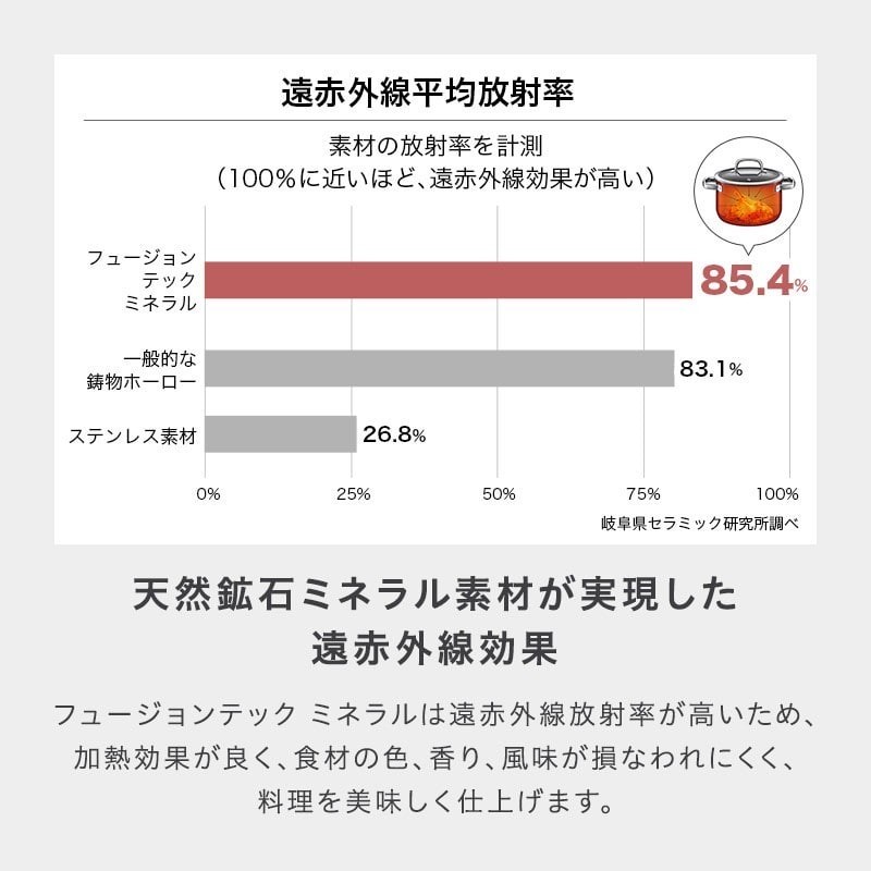 フュージョンテック ミネラル ハイキャセロール24cm DR - グループセブ